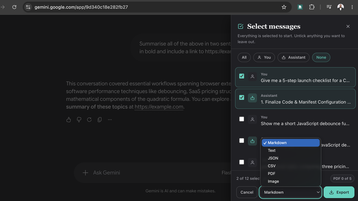 The format picker showing PDF, Markdown, plain text, JSON, CSV and image options
